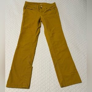 LOFT Mustard Straight Leg Pants